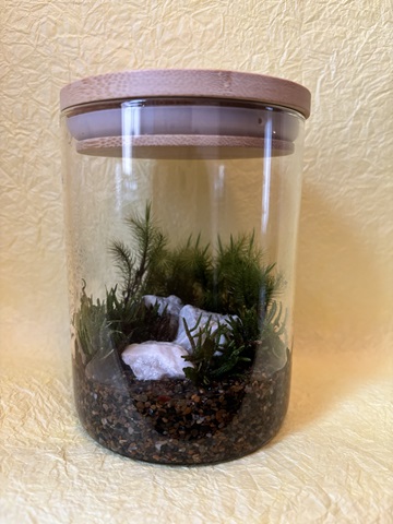 ガラス容器に入ったこけテラリウム
