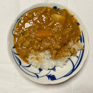 脱炭素クッキングで作ったカレー