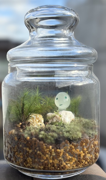 コケテラリウムを作ろう1