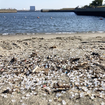 海岸の漂着ゴミ