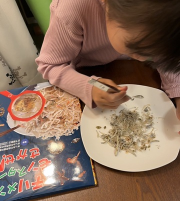 ちりめんモンスター探し